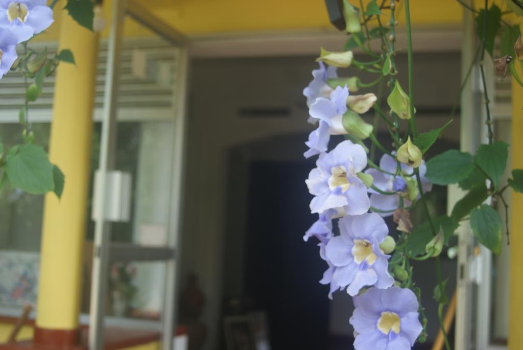 Ananda Home Stay And Restaurant Tangalle Eksteriør bilde