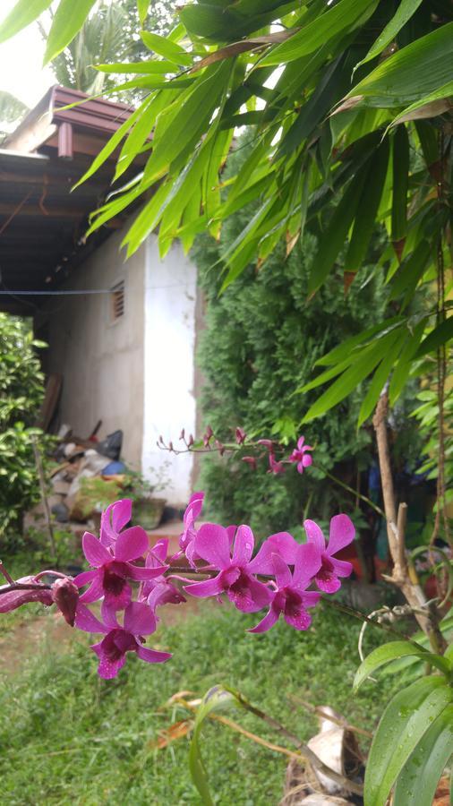 Ananda Home Stay And Restaurant Tangalle Eksteriør bilde