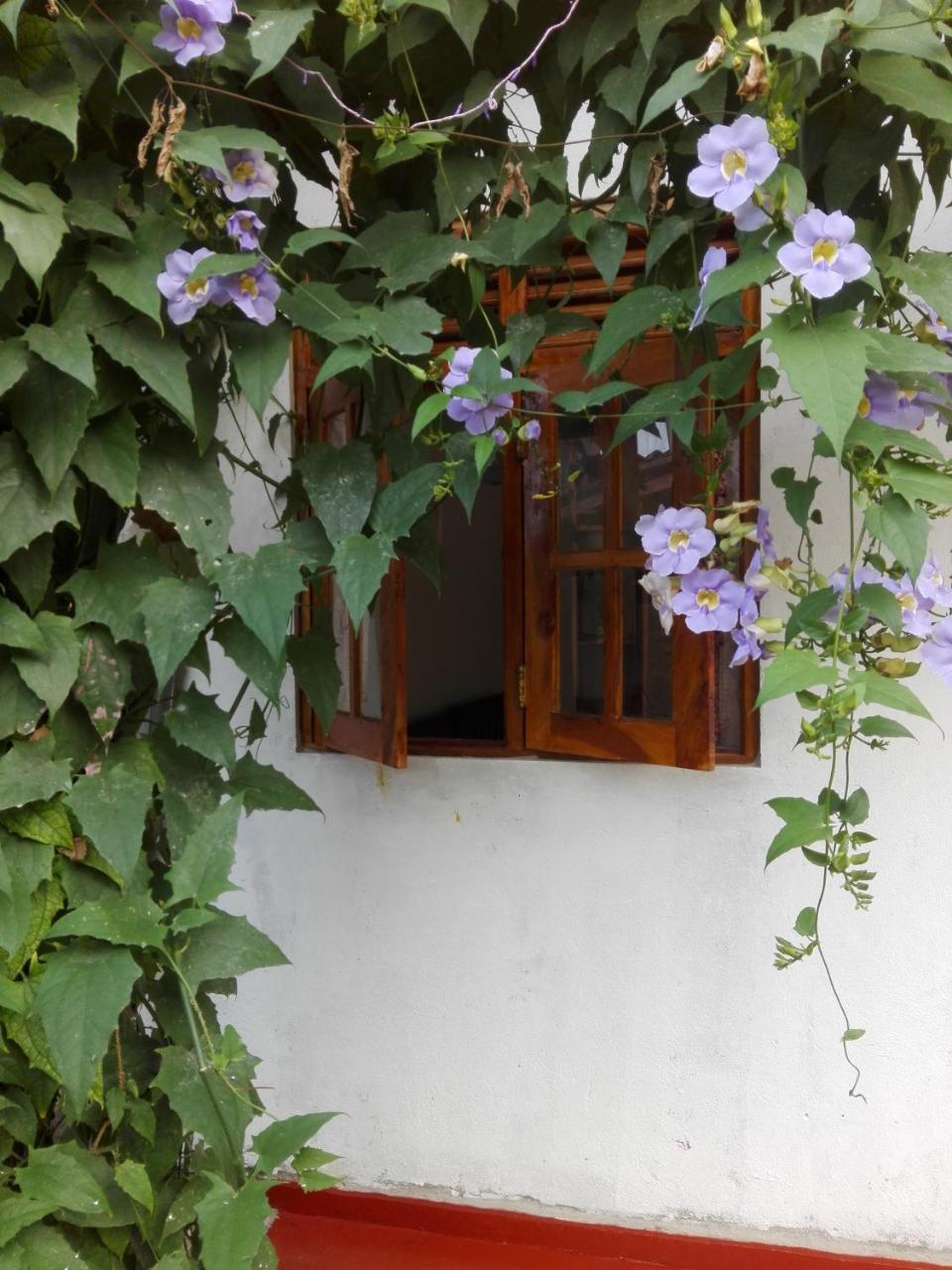 Ananda Home Stay And Restaurant Tangalle Eksteriør bilde